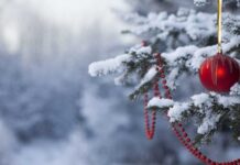 Где провести Новый Год в 2018 ? Как провести Новый Год 2018