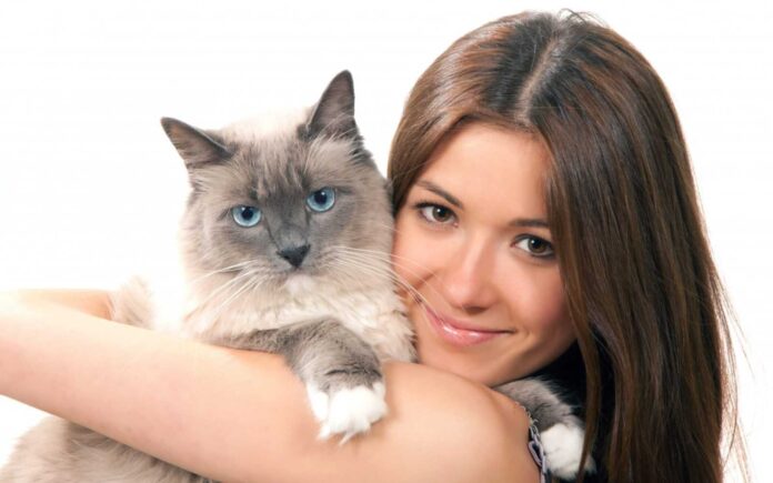 Правда ли, что коты могут лечить болезни?