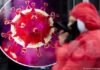 Коронавирус мог распространяться среди людей в течение десятилетий — исследование