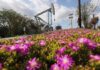 Почему цены на нефть возвращаются к ростуСюжет